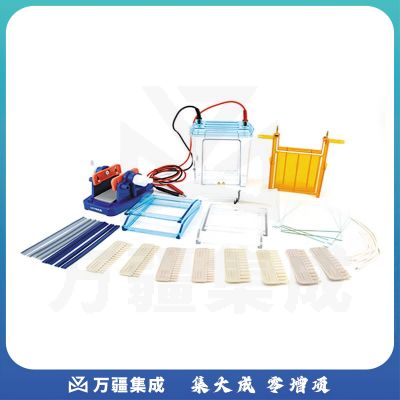 JISENPUER北京六一DYCZ-24EN型双垂直电泳仪(中号) DYCZ-24EN