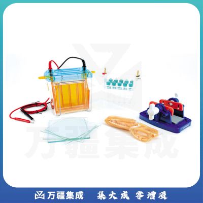 JISENPUER北京六一DYCZ-26B型双向电泳仪 DYCZ-26B