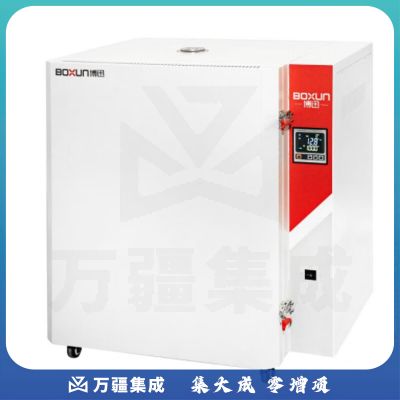JISENPUER上海博迅BGG-248高温鼓风干燥箱烘箱