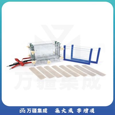 JISENPUER北京六一DYCZ-30B型单板夹心式垂直电泳槽 DYCZ-30B