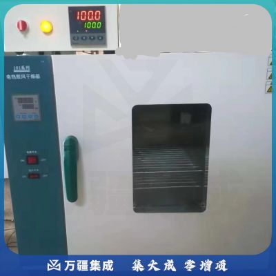 电热鼓风干燥箱