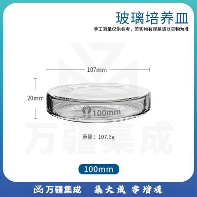 教学仪器耗材 实验用品教具学具 环球100mm