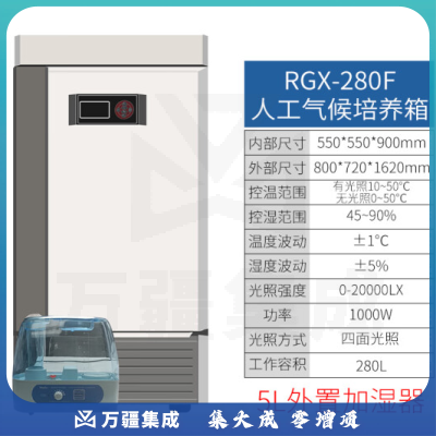 恩谊 人工气候培养箱实验室植物种子催芽发芽箱恒温光照培养箱 QHP人工气候箱 强光照280升