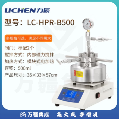 力辰科技（lichen）磁力搅拌高压反应釜 实验室不锈钢电动机械搅拌反应釜 LC-HPR-B500