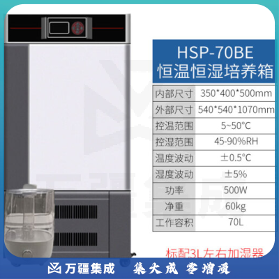 恩谊 生化培养箱恒温恒湿试验箱箱霉菌细菌微生物培养箱实验室 HWS恒温恒湿箱 升级款70升