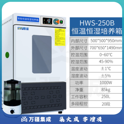 恩谊 生化培养箱恒温恒湿试验箱箱霉菌细菌微生物培养箱实验室 HWS恒温恒湿箱 250升