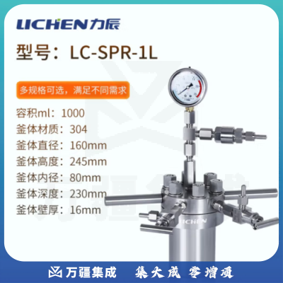 力辰科技（lichen）不锈钢简易高压反应釜实验室耐高温抗高氧台式微型反应釜 LC-SPR-1L
