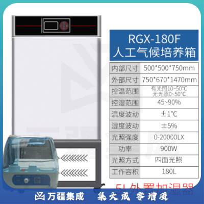 恩谊 人工气候培养箱实验室植物种子催芽发芽箱恒温光照培养箱 QHP人工气候箱 强光照180升