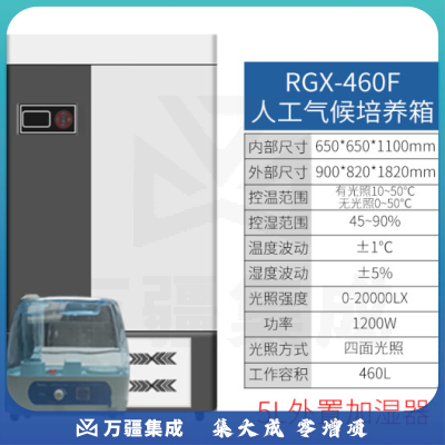 恩谊 人工气候培养箱实验室植物种子催芽发芽箱恒温光照培养箱 QHP人工气候箱 强光照460升