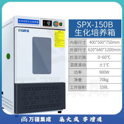 恩谊 生化培养箱恒温恒湿试验箱箱霉菌细菌微生物培养箱实验室 SPX生化培养箱 150升