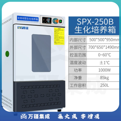 恩谊 生化培养箱恒温恒湿试验箱箱霉菌细菌微生物培养箱实验室 SPX生化培养箱 250升