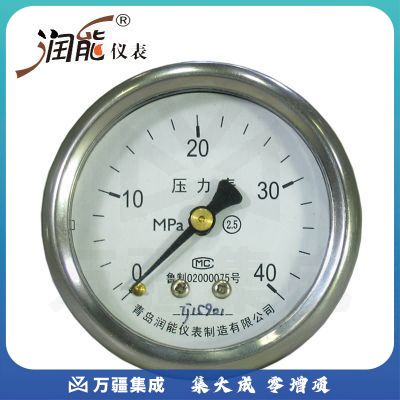 润能耐震轴向无边压力表YN60Z充油表水压表抗震油压表（外壳不锈钢）指针压力表 0-0.25MPa