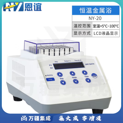 恩谊 迷你恒温金属浴实验室干式恒温器高温加热制冷振荡孵育干浴器 NY-20