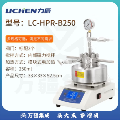 力辰科技（lichen）磁力搅拌高压反应釜 实验室不锈钢电动机械搅拌反应釜 LC-HPR-B250
