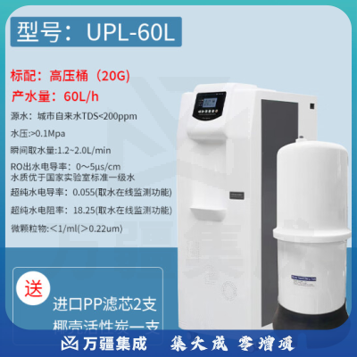 恩谊 超纯水机实验室纯水仪化水机ro反渗透去离子水设备学校净水器 UPL-60L一级水