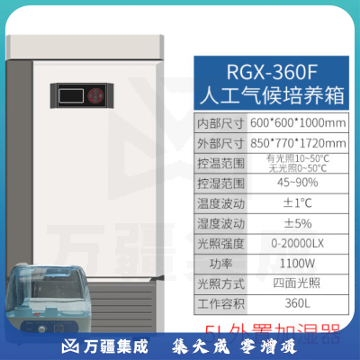 恩谊 人工气候培养箱实验室植物种子催芽发芽箱恒温光照培养箱 GZP光照培养箱 强光照360升