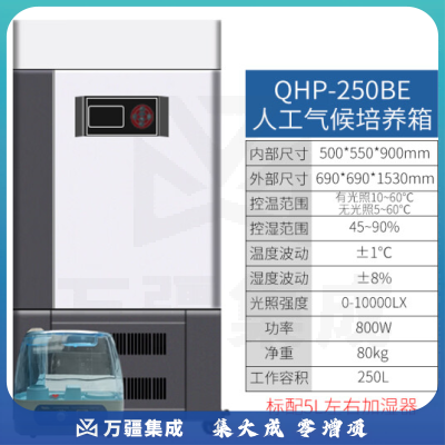 恩谊 人工气候培养箱实验室植物种子催芽发芽箱恒温光照培养箱 QHP人工气候箱 250升