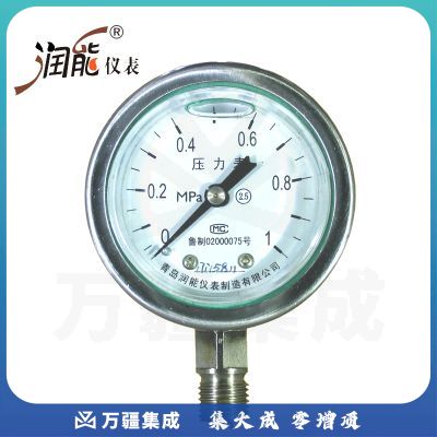 润能抗震不锈钢压力表YNBF60冲油油表水压表防腐耐高温蒸汽压力表指针压力表 0-0.25MPa