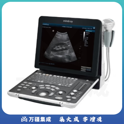 迈瑞Mindray 全数字便携式超声诊断系统黑白超声机B超机 DP-50（标配腹部探头）