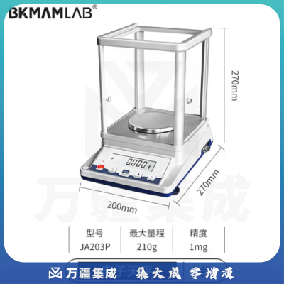 比克曼生物 电子分析天平克称精密实验室高精度电子称 JA203P【210g】千分之一（外校）1mg 1台