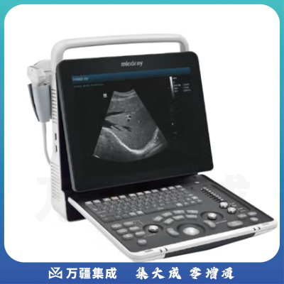 迈瑞Mindray 全数字便携式超声诊断系统黑白超声机B超机 DP-50T