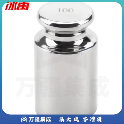 冰禹 BYly-111 国标304不锈钢F1等级砝码 天平电子秤校正砝码 单只装 100g F1级