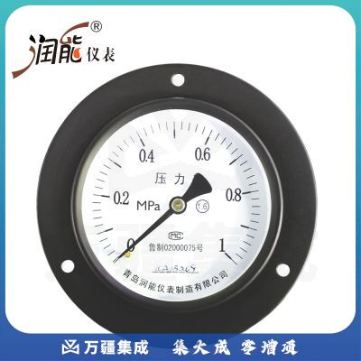 润能轴向压力表气压表水压表Y100ZT普通表盘100储气罐使用测量工具 0-1.6MPa