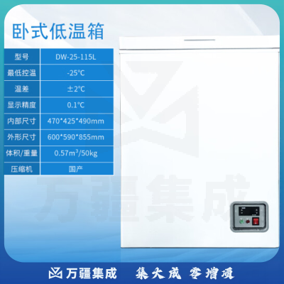 恩谊 低温试验箱环境老化测试箱实验室小型工业高低温箱冷冻柜 -25℃ 卧式115升