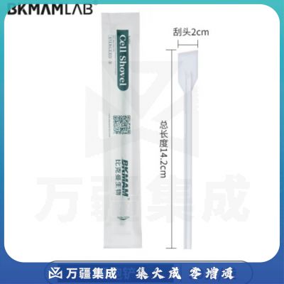 比克曼生物（BKMAM）细胞刮刀细胞刮铲微生物细胞细菌一次性刮片白色绿色推刮器灭菌 细胞铲白色 50支/包