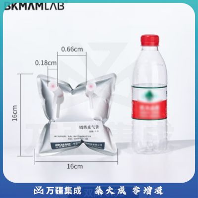 比克曼生物（BKMAM）铝箔采气袋气体采样袋收集袋单双阀PP阀门实验室气体收集装置 【双阀0.5L】16*16cm 1个