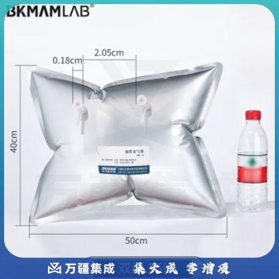 比克曼生物（BKMAM）铝箔采气袋气体采样袋收集袋单双阀PP阀门实验室气体收集装置 【双阀15L】40*50cm 1个