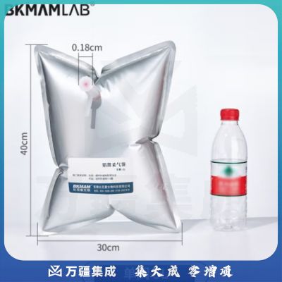 比克曼生物（BKMAM）铝箔采气袋气体采样袋收集袋单双阀PP阀门实验室气体收集装置 【单阀5L】30*40cm 1个