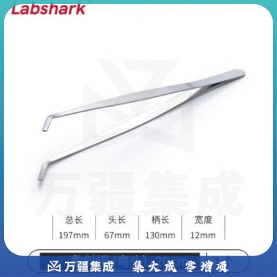 比克曼生物 LABSHARK 镊子不锈钢敷料镊加厚平头弯头尖头黑头睫毛拔毛夹子实验室【敷料镊弯头】20cm 1个（10个起订）
