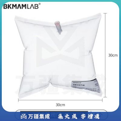 比克曼生物（BKMAM）特氟龙采气袋氟膜采样袋VOCs非总烃气袋聚四氟乙烯气体取样袋 4L单阀 PP阀门