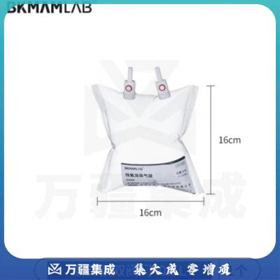 比克曼生物（BKMAM）特氟龙采气袋氟膜采样袋VOCs非总烃气袋聚四氟乙烯气体取样袋 0.5L双阀 聚四氟阀门