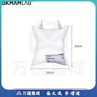比克曼生物（BKMAM）特氟龙采气袋氟膜采样袋VOCs非总烃气袋聚四氟乙烯气体取样袋 1L双阀 聚四氟阀门