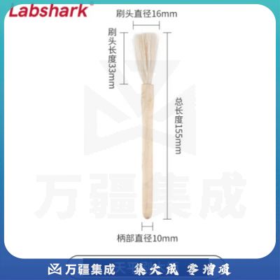 比克曼生物 LABSHARK 毛刷实验室清洁尼龙毛刷试管刷容量瓶刷锥形瓶刷烧杯刷天平刷【天平刷】木柄 1个（10个起订）