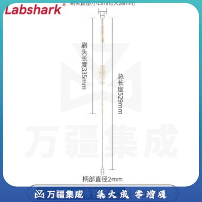 比克曼生物 LABSHARK 毛刷实验室清洁尼龙毛刷试管刷容量瓶刷锥形瓶刷烧杯刷天平刷【大肚移液管刷】50mL 1个（10个起订）