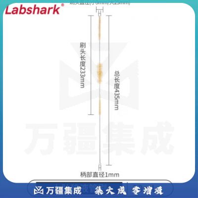 比克曼生物 LABSHARK 毛刷实验室清洁尼龙毛刷试管刷容量瓶刷锥形瓶刷烧杯刷天平刷【大肚移液管刷】10mL 1个（10个起订）