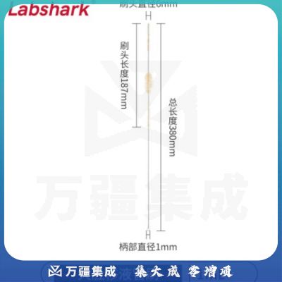 比克曼生物 LABSHARK 毛刷实验室清洁尼龙毛刷试管刷容量瓶刷锥形瓶刷烧杯刷天平刷【大肚移液管刷】1mL 1个（10个起订）