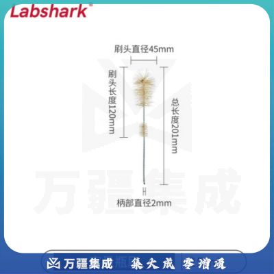比克曼生物 LABSHARK 毛刷实验室清洁尼龙毛刷试管刷容量瓶刷锥形瓶刷烧杯刷天平刷【容量瓶刷】25mL 1个（10个起订）