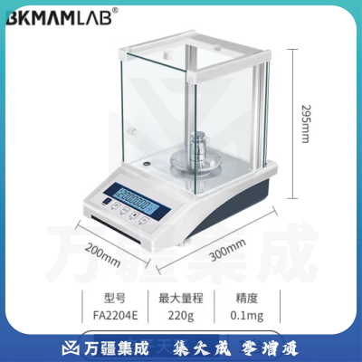 比克曼生物 电子分析天平克称精密实验室高精度电子称 FA2204E【220g】万分之一（外校）0.1mg 1台