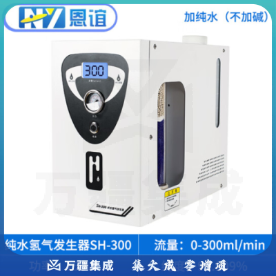 恩谊 高纯氢气发生器氮气发生器空气发生器气相色谱仪搭配用气体源300ml/min 纯水氢气发生器SH-300