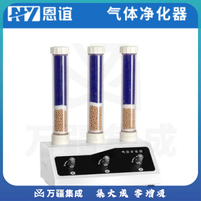 恩谊 高纯氢气发生器氮气发生器空气发生器气相色谱仪搭配用气体源300ml/min 气体净化器
