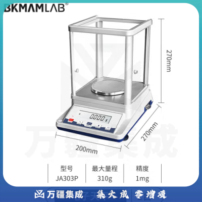 比克曼生物 电子分析天平克称精密实验室高精度电子称 JA303P【310g】千分之一（外校）1mg 1台