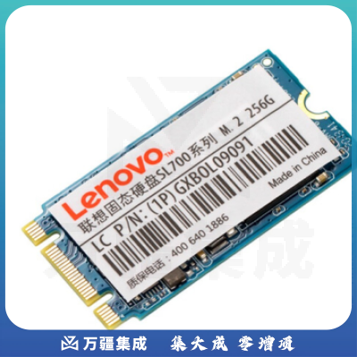 联想（Lenovo) 256GB SSD固态硬盘 mSATA接口 SL700固态宝系列