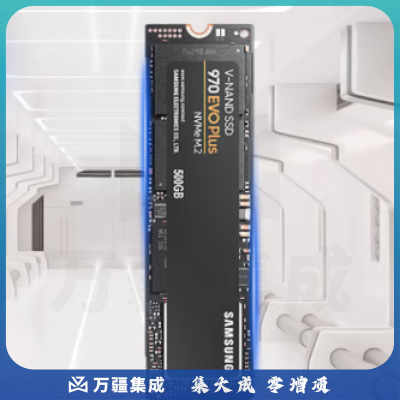 三星（SAMSUNG）500GB SSD固态硬盘 M.2接口(NVMe协议) 970 EVO Plus（MZ-V7S500B）