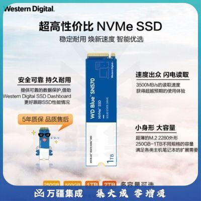 西部数据(Western Digital) 500GB SSD固态硬盘 M.2接口(NVMe协议) WD Blue SN570 四通道PCIe 高速