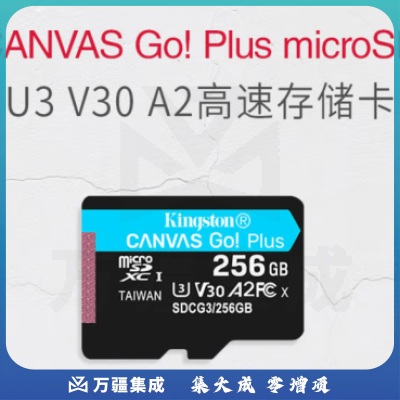 金士顿（Kingston）256GB TF（MicroSD）存储卡 行车记录仪内存卡 手机内存卡 U3 V30 A2 4K 读速170MB/s SDCG3/256GB