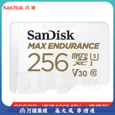 闪迪（SanDisk）256GB TF（MicroSD）存储卡 适用于监控摄像头 行车记录仪内存卡 读速100MB/s 写速40MB/s SDSQQVR-256G-ZN6IA